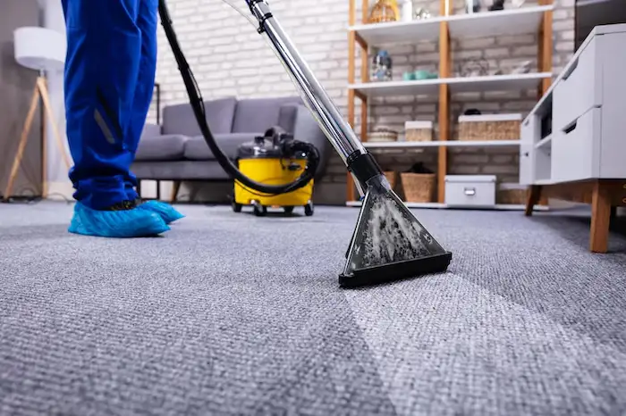 carpet cleaning tool